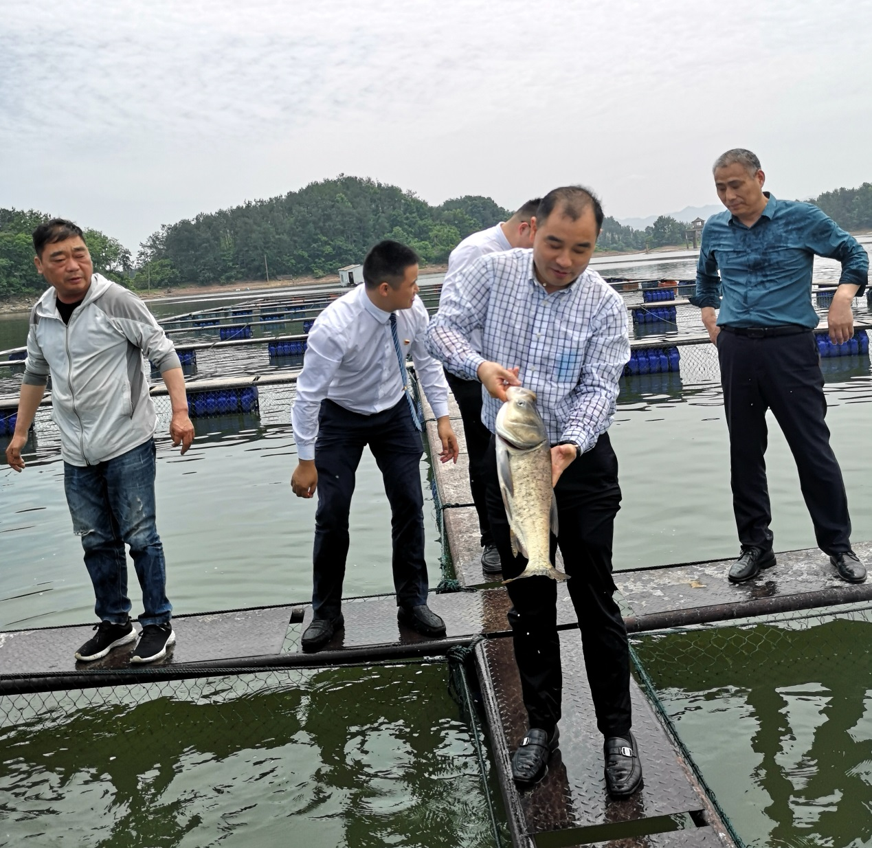 岸香国际控股集团莅临万佛湖渔业考察指导