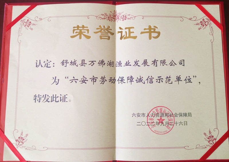 公司荣膺“六安市劳动保障诚信示范单位”荣誉称号